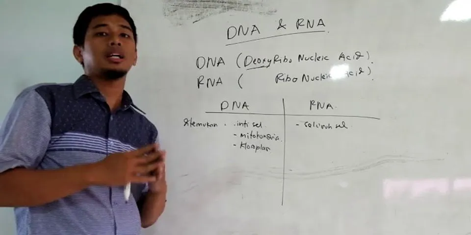 Apa perbedaan antara DNA dan RNA brainly?