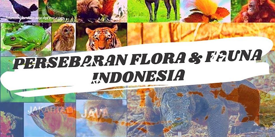 Apa tipe flora dan fauna di wilayah Indonesia?