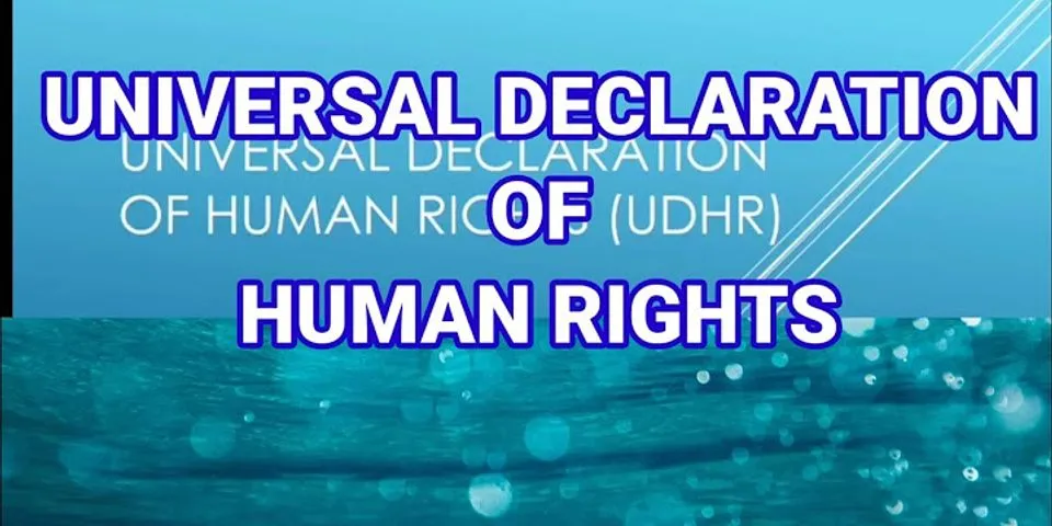 Bagaimana hak-hak kebebasan manusia yang terdapat dalam Declaration of Human Rights