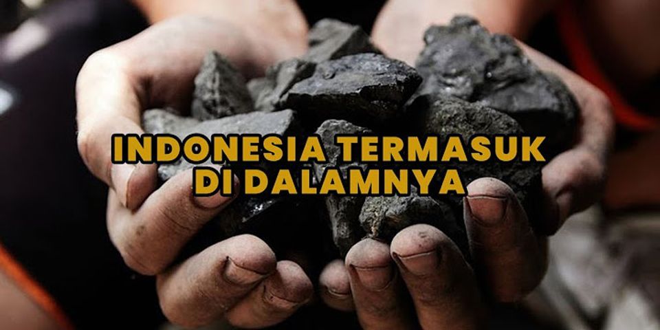 Di Indonesia daerah manakah banyak ditemukan batu bara brainly?